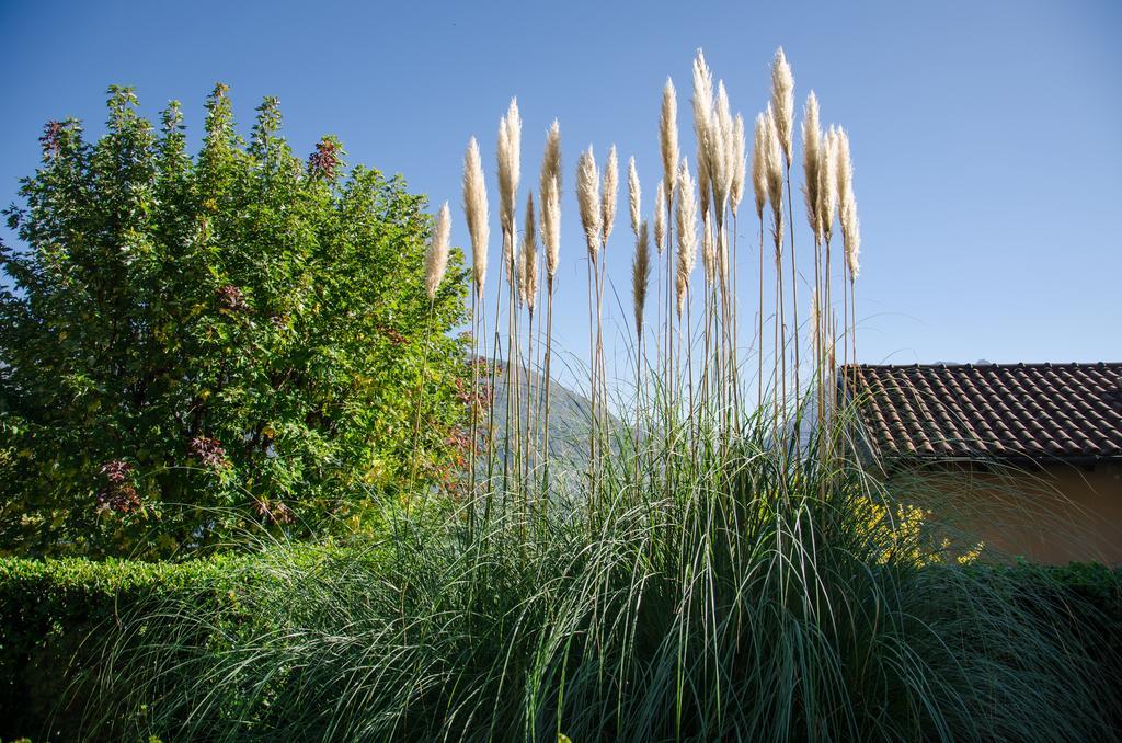 אקסריה Anma Cottages Sole Lago מראה חיצוני תמונה